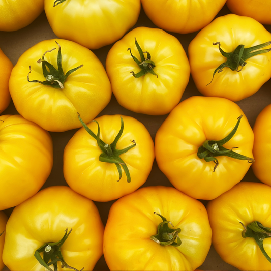 Pomidory żółte 6kg