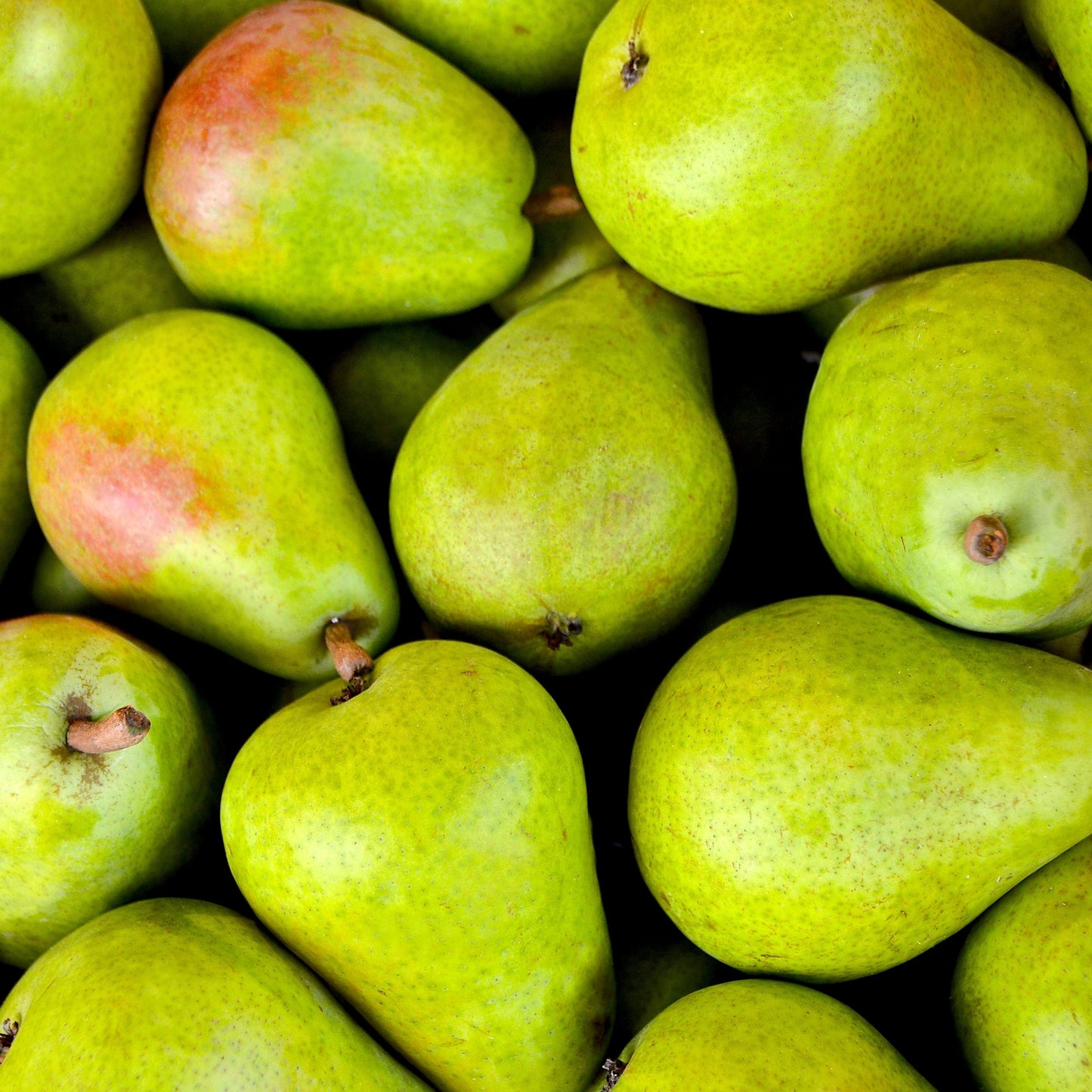 Pear